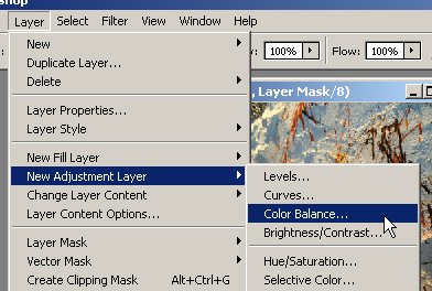 screen_11.jpg
